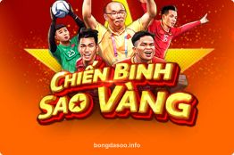 bongdasoo Chiến Binh Sao Vàng