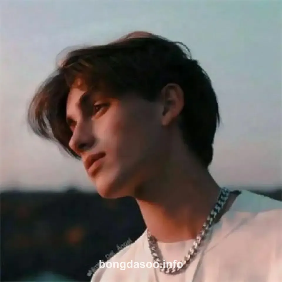 Ảnh đại diện người dùng Quỳnh